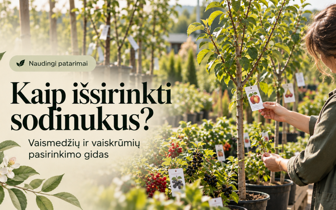 Kaip išsirinkti vaismedžių ir vaiskrūmių sodinukus?