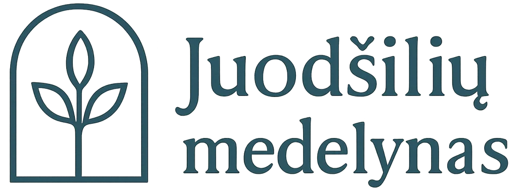Juodšilių medelynas